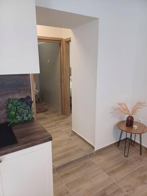 Central Vita Apartment Rijeka Eksteriør bilde
