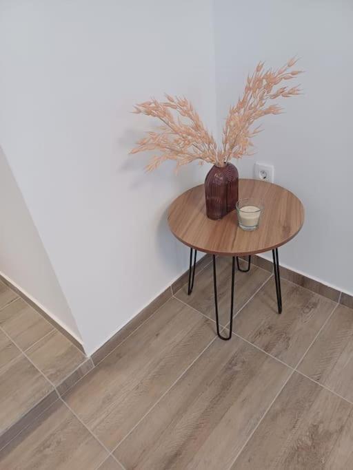 Central Vita Apartment Rijeka Eksteriør bilde